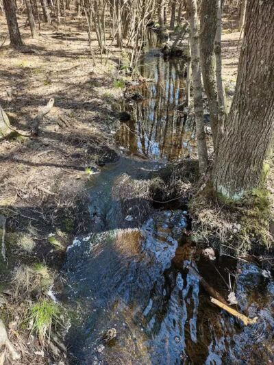 Metedeconk Preserve - Jackson Township, NJ