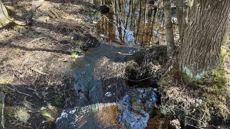 Metedeconk Preserve - Jackson Township, NJ