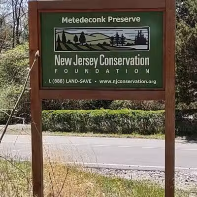 Metedeconk Preserve - Jackson Township, NJ