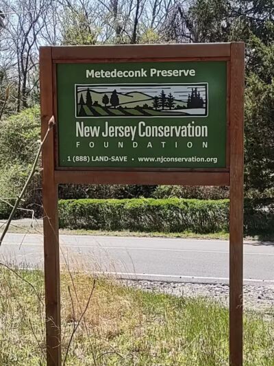 Metedeconk Preserve - Jackson Township, NJ