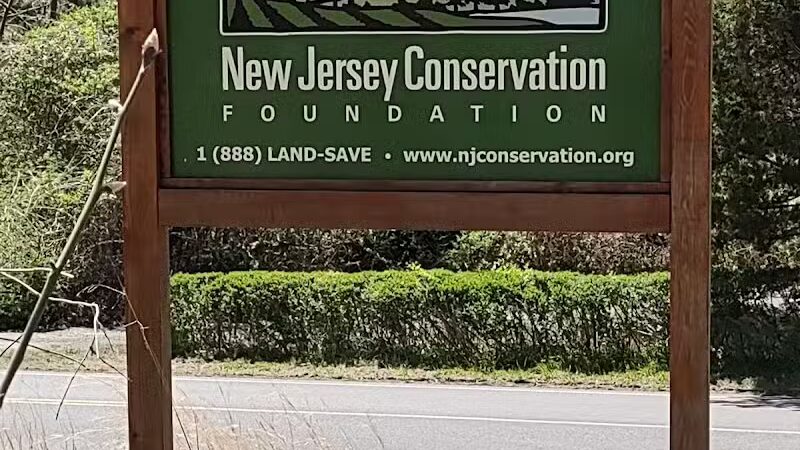 Metedeconk Preserve - Jackson Township, NJ