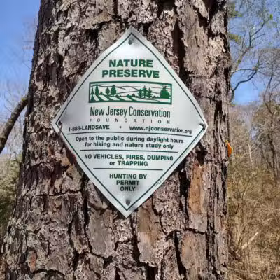 Metedeconk Preserve - Jackson Township, NJ