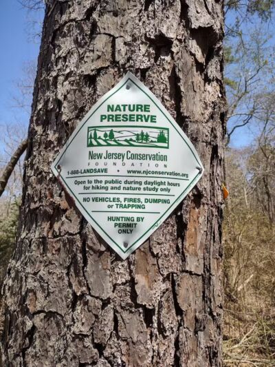 Metedeconk Preserve - Jackson Township, NJ