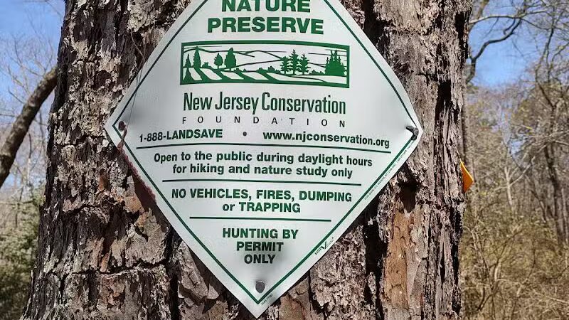 Metedeconk Preserve - Jackson Township, NJ