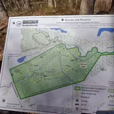 Metedeconk Preserve - Jackson Township, NJ
