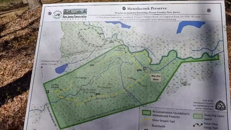 Metedeconk Preserve - Jackson Township, NJ