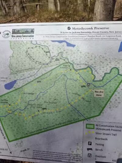 Metedeconk Preserve - Jackson Township, NJ