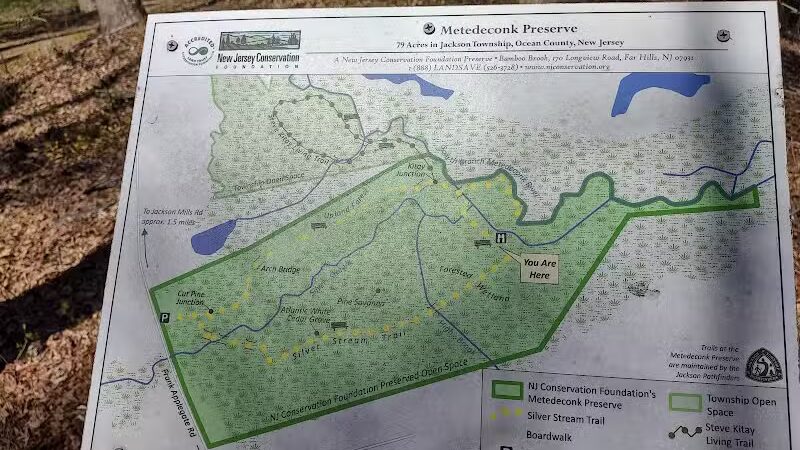 Metedeconk Preserve - Jackson Township, NJ