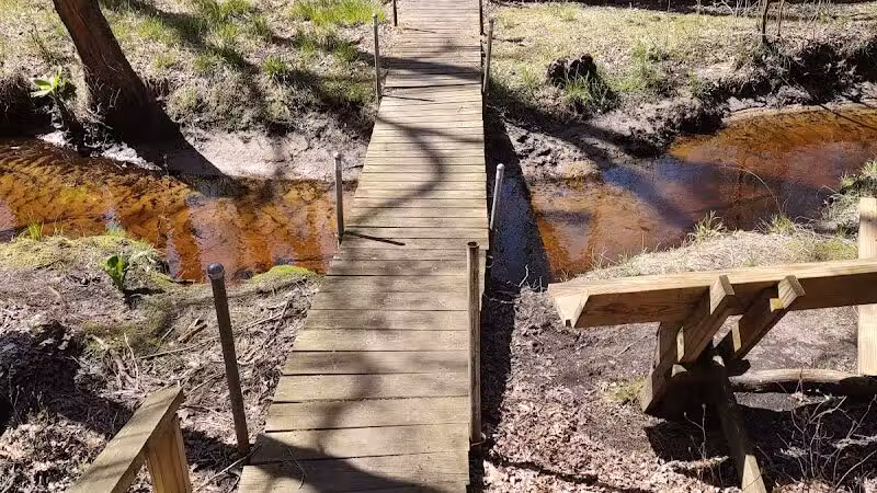 Metedeconk Preserve - Jackson Township, NJ