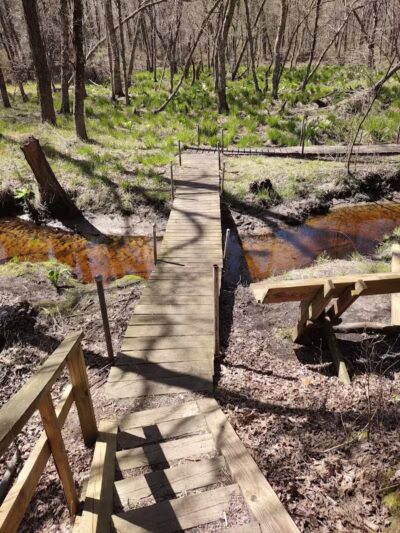 Metedeconk Preserve - Jackson Township, NJ