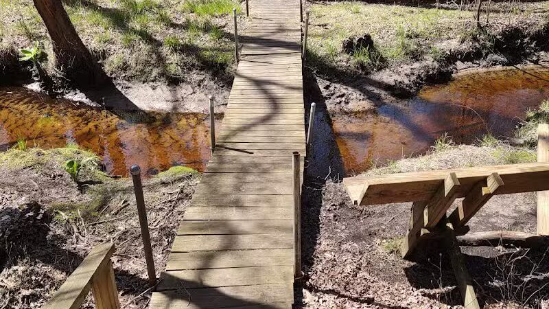 Metedeconk Preserve - Jackson Township, NJ