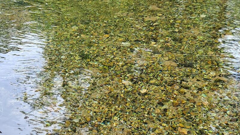 Germania Springs Park - Jacksonville, AL