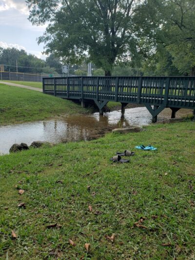 Germania Springs Park - Jacksonville, AL