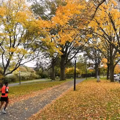 Baisley Pond Park - Jamaica, NY