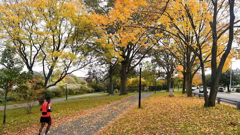 Baisley Pond Park - Jamaica, NY