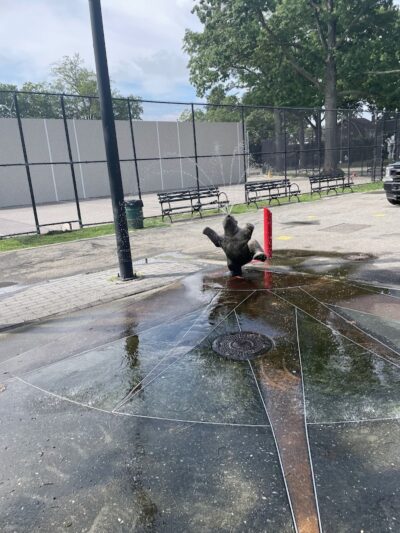 Breininger Park - Jamaica, NY