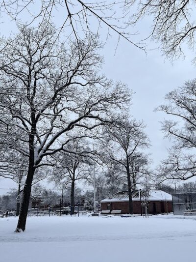 Breininger Park - Jamaica, NY