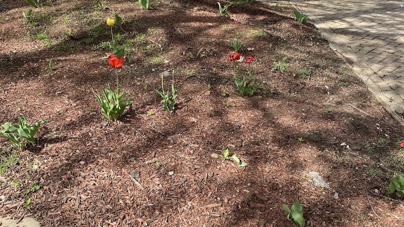 Brinkerhoff Mall - Jamaica, NY