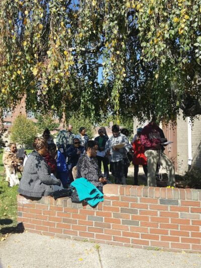 Brinkerhoff Mall - Jamaica, NY