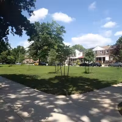 Brinkerhoff Mall - Jamaica, NY