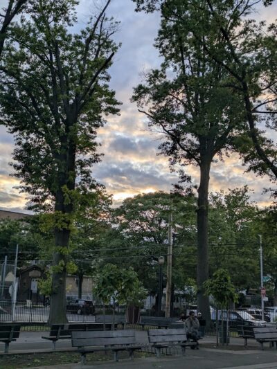 Howard Von Dohlen Playground - Jamaica, NY
