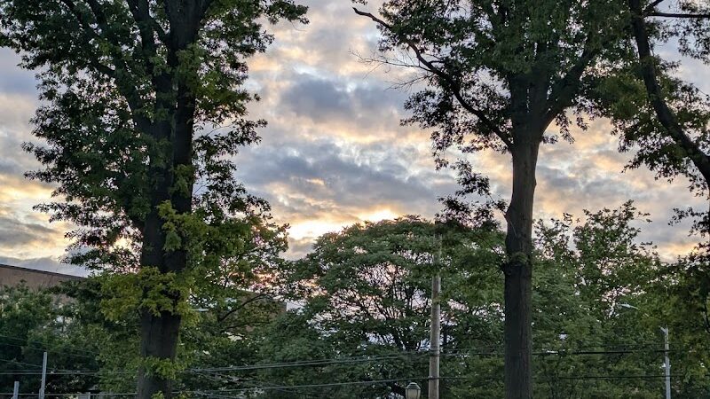 Howard Von Dohlen Playground - Jamaica, NY