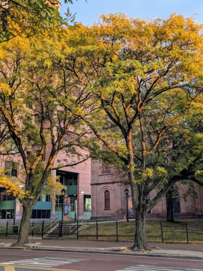 Jamaica Performing Arts Center (JPAC) - Jamaica, NY