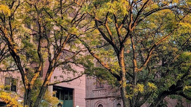 Jamaica Performing Arts Center (JPAC) - Jamaica, NY