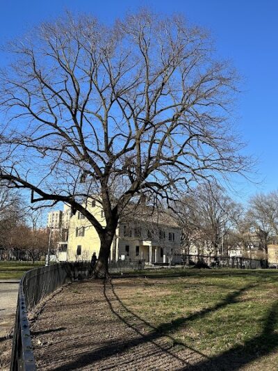 King Manor Museum - Jamaica, NY