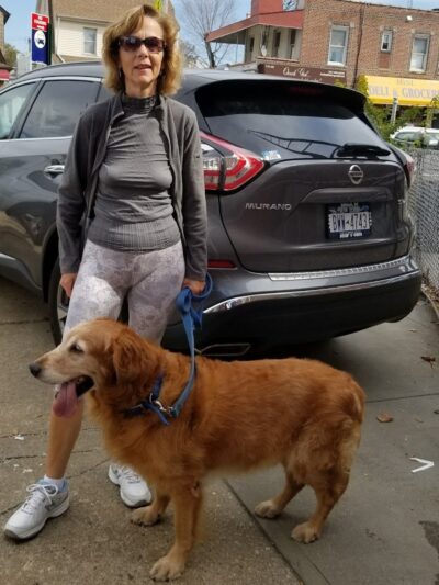 Ozone Park Animal Clinic - Jamaica, NY