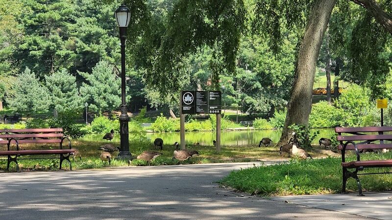 Park - Jamaica, NY