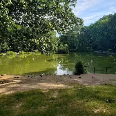 Park - Jamaica, NY