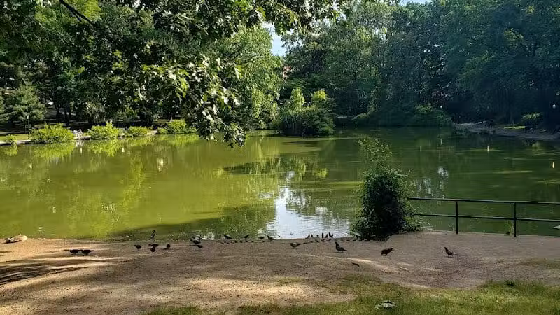 Park - Jamaica, NY