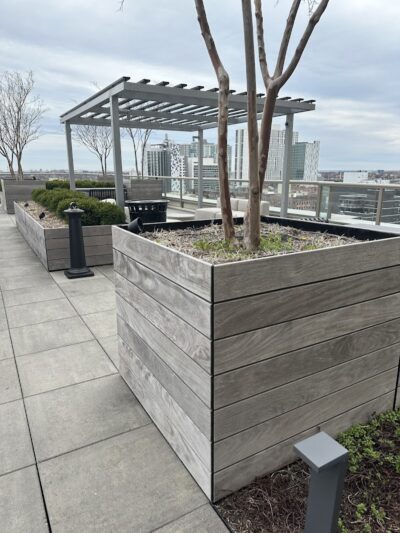 Parkhill City - Jamaica, NY