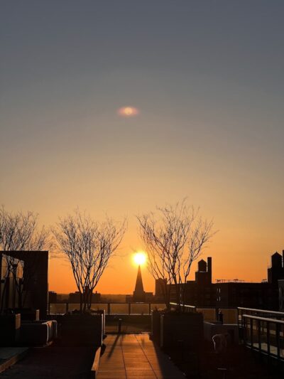 Parkhill City - Jamaica, NY