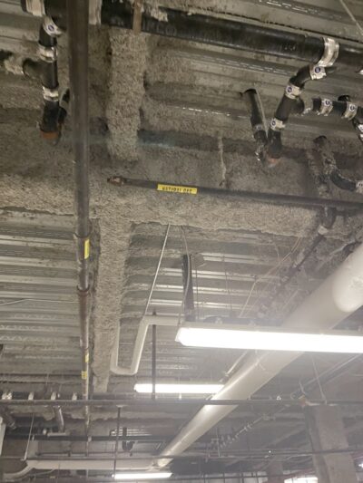 Parkhill City - Jamaica, NY