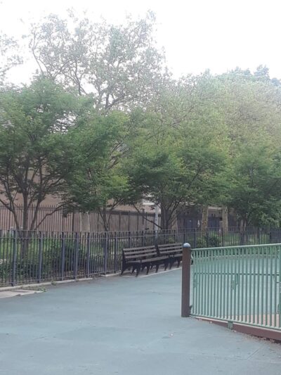 Rochdale Park - Jamaica, NY