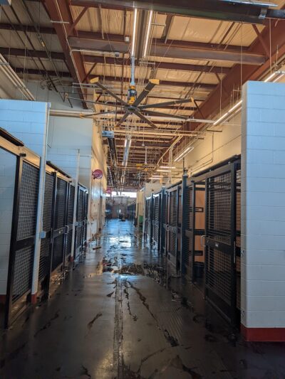 The ARK at JFK - Jamaica, NY