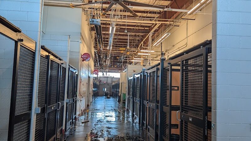 The ARK at JFK - Jamaica, NY