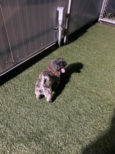 The ARK at JFK - Jamaica, NY