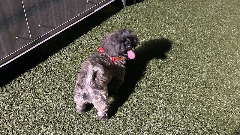 The ARK at JFK - Jamaica, NY