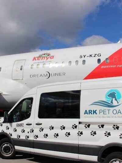 The ARK at JFK - Jamaica, NY