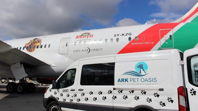 The ARK at JFK - Jamaica, NY