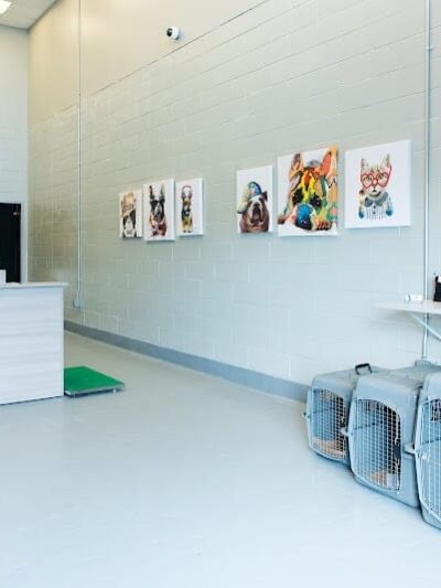 The ARK at JFK - Jamaica, NY