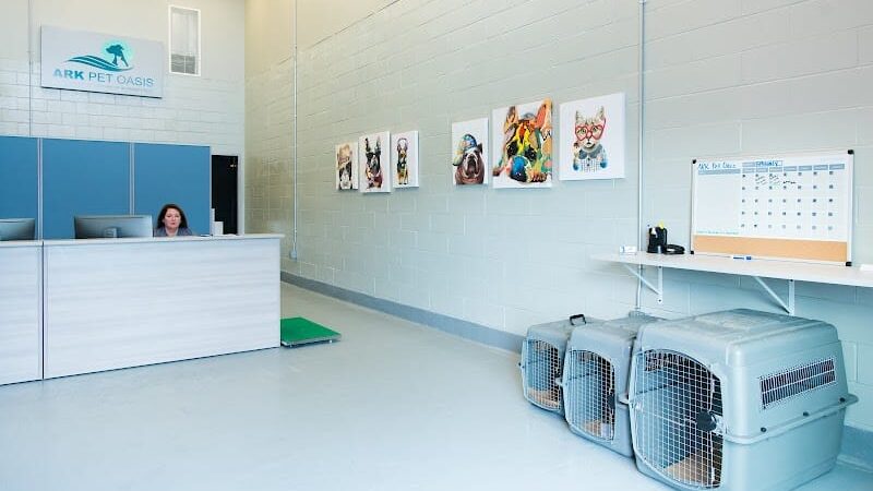 The ARK at JFK - Jamaica, NY