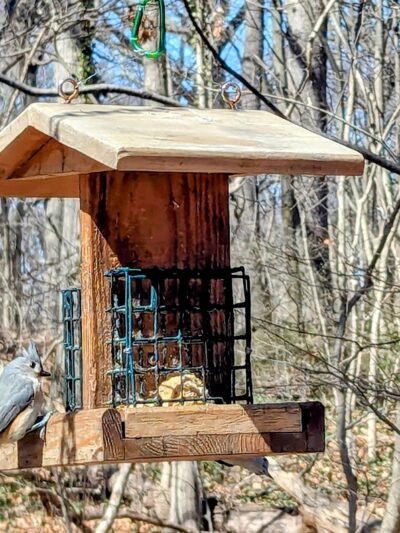 Water Hole Trail Head - Jamaica, NY