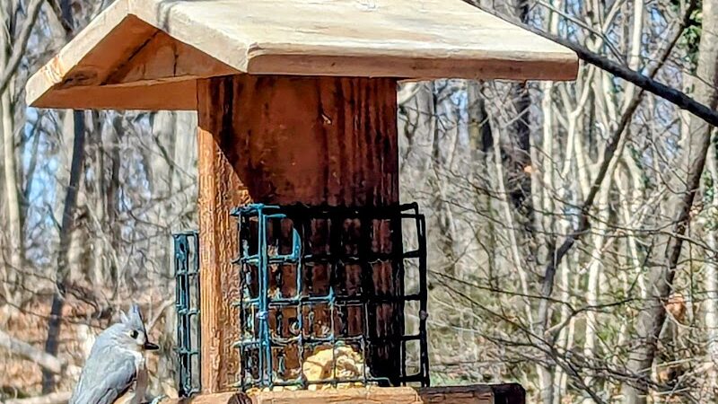 Water Hole Trail Head - Jamaica, NY