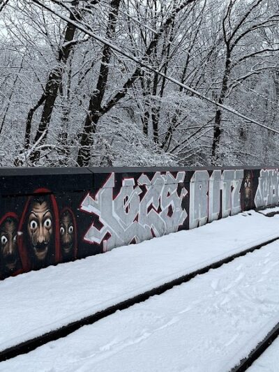 Water Hole Trail Head - Jamaica, NY