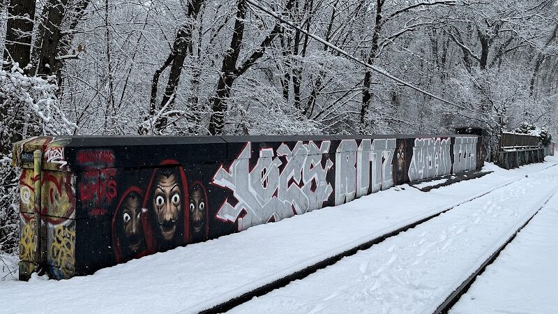 Water Hole Trail Head - Jamaica, NY