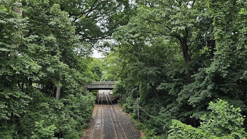 Water Hole Trail Head - Jamaica, NY